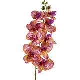 Mondex cvetna veja umetna Viridis Orhideja 90cm bela 1kos, (5000331415) Cene