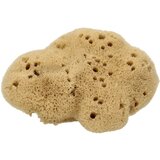 Cose della Natura scilnate spužve - medium, 8-10 g Cene