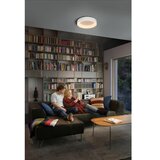  Ledvance-LED prigušiva stropna svetiljka SUN@HOME CIRCULAR LED/18,5W/230V Wi-Fi | Eponuda.com