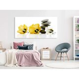  Slika - Calm Mallow (1 Part) Yellow 70x35 | shoptok.hr