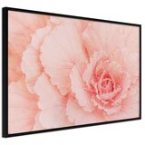  Poster - Delicate Petals 60x40 | shoptok.hr