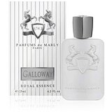 Parfums de Marly Galloway 125 ml parfumska voda unisex | Shoptok.si
