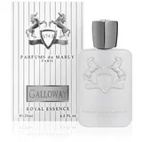Galloway 125 ml parfumska voda unisex