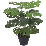 Dekordom cvet u saksiji - monstera zd-bybg25-pgj5 - 32cm - n55 ( 025077 ) | ePonuda.com