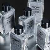 Bentley Momentum Unbreakable parfumska voda 100 ml za moške | Shoptok.si