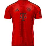 FC BAYERN MÜNCHEN Dres 'FC Bayern München Home Trikot 24-25' crvena / crna | shoptok.hr