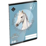 ICO ICO: LizzySuli Wild Beauty Sport Club zvezek s kvadratki A5 27-32 Cene