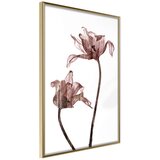  Poster - Flashback of Last Summer 30x45 Cijene