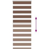 vidaXL Zebra senčilo rjave 60x150 cm tkanina širina 55,9cm poliester | Shoptok.si