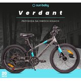  Dječji bicikl Verdant Alder 20" sivo-plavi | shoptok.hr