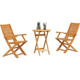  Sklopivi bistro set 3 kom. Smeđa Čvrsto drvo akacije | shoptok.hr
