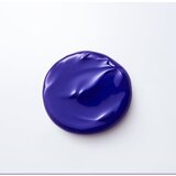 ICONIQUE Professional COOL LIKE YOU Perfect Blonde & Silver Violet balzam za nevtralizacijo rumenih odtenkov 70 ml | Shoptok.si