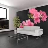  Tapeta - Azalea in Black 350x270 Cijene