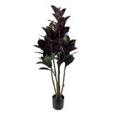 Avatar29762 Dekor bordo fikus