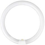  fluorescentna cev yh G10q/28W/230V 6500K - fulgur 03045, prečnik 23 cm | Eponuda.com