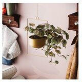 WALLXPERT Dekorativna saksija Parapet | ePonuda.com