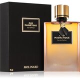 Molinard Oud Magnétique parfumska voda uniseks 75 ml | Shoptok.si