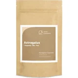 astragalus kapsule bio