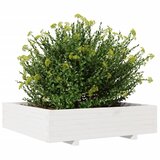  Vrtna sadilica bijela 100x100x26,5 cm od masivne borovine | shoptok.hr
