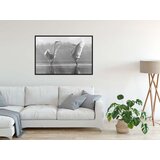  Poster - Black and White Herons 45x30 | shoptok.hr