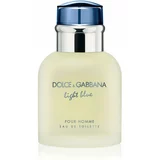 Dolce & Gabbana Light Blue Pour Homme toaletna voda za muškarce 40 ml