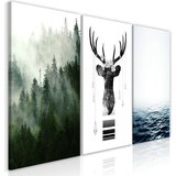  Slika - Chilly Nature (Collection) 60x30 Cijene