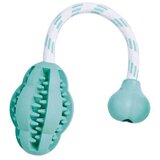 Trixie Dentafun jumper mintfresh | ePonuda.com