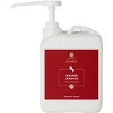 Bio šampon za ekcemarje - 2,50 l
