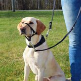 Trixie Top trening traka za njušku 13006 | Eponuda.com