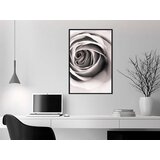  Poster - Structure of Petals 20x30 | shoptok.hr