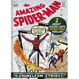 Ralph Macchio - Marvel Comics Library. Spider-Man. 19621964