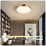  Immax NEO 07321L-LED stropna svetiljka NEO LITE SEMPLICI, prigušiva, 36 W / 230 V, prečnik 40 cm, bakarna, s daljinskim upravljačem Cene