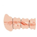 Crazy Bull Masturbator Pussi Flesh | Shoptok.si