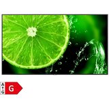 SHARP / NEC MultiSync E868 86' Display UHD | shoptok.hr