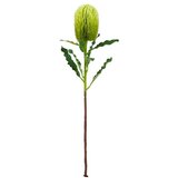  DEKORATIVNI CVIJET BANKSIA 65CM ZELENI BIZZOTTO Cijene