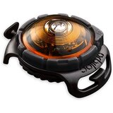 Orbiloc LED lučka za ovratnico Amber - | Shoptok.si