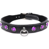 Master Series Royal Vixen Leather Collar with Rhinestones Purple | shoptok.hr