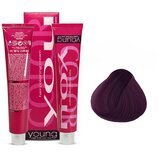 YOUNG Farba za kosu No 5.22, Intense Violet Light Chestnut, 100ml Cene