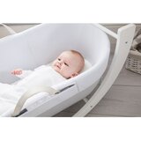 Shnuggle Dreami Moses košara sa stalkom i madracem - Eucalyptus | shoptok.hr