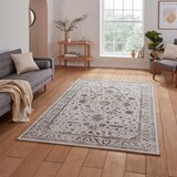 Think Rugs Svetlo siva preproga 160x230 cm Creation – | Shoptok.si