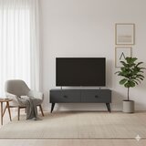 Hanah home Hanah Kućna TV komoda Mona 120, 120x40,5x32cm, Antracit Cijene
