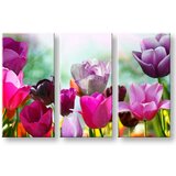  Slike na platnu cveće (moderne slike na platnu) | ePonuda.com