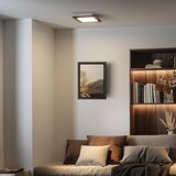 Eglo LED RGBW prigušiva panel za površinsku montažu SALOBRENA-C LED/16W/230V tamno braon + daljinski upravljač | Eponuda.com