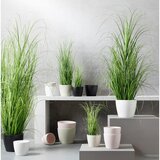 Modern Living Šop Trave Patrick | Shoptok.si