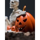 Sinsay LED Halloween dekoracija u obliku kostura i bundeve | shoptok.hr