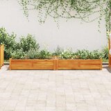 Posuda za Sadnju Drvo Bagrema 200x50x25 cm | shoptok.hr