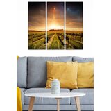 Wallity Set slika MDF74936458, 3 dijela | Eponuda.ba
