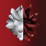 Givenchy L’Interdit Rouge parfumska voda za ženske 125 ml | Shoptok.si