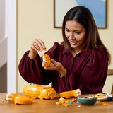Lego Disney: Mladi Simba, levji kralj | Shoptok.si
