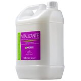 Artero Vitalizante šampon za ljubimce 5 litara Cene